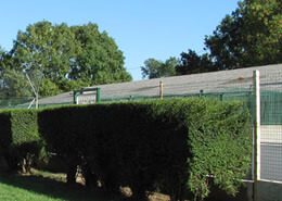 meilleure-hotel-canin-la-rochelle-chatelaillon-fouras